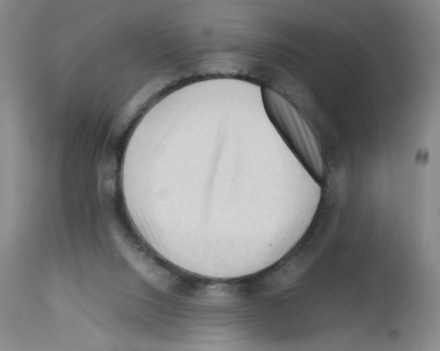 X0000112730064200910011207