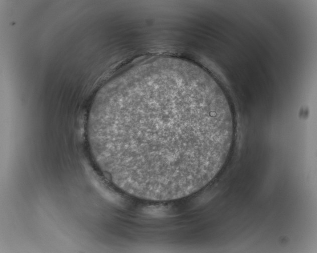 X0000112730065200910011207