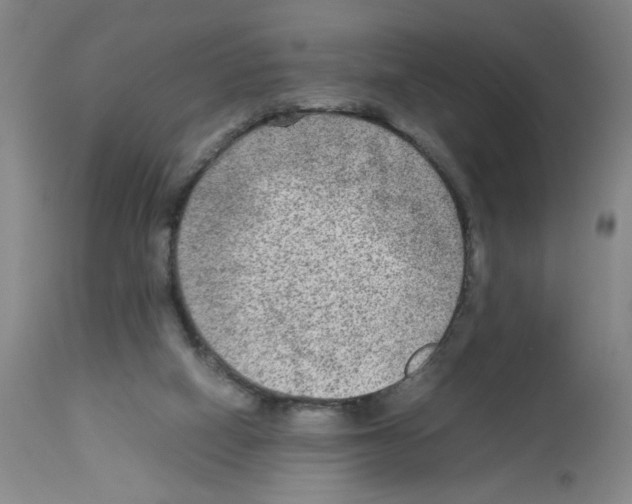 X0000112730066200910011207