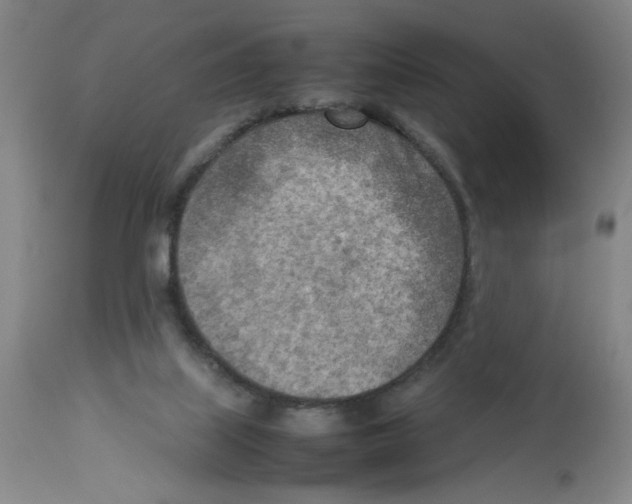 X0000112730067200910011207