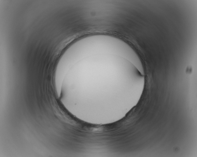 X0000112730068200910011207