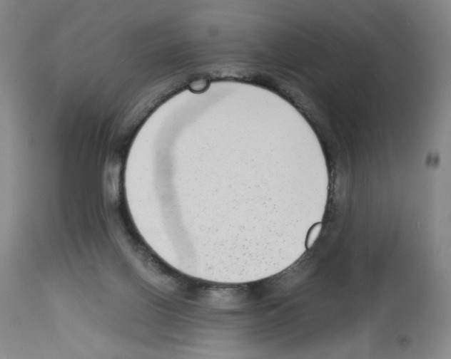 X0000112730070200910011207