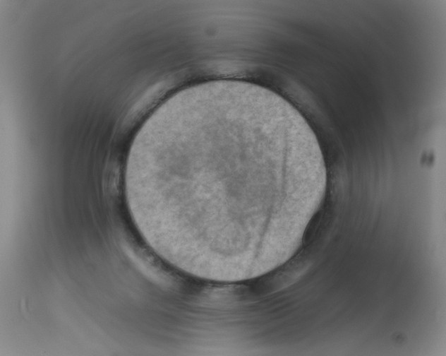 X0000112730072200910011207