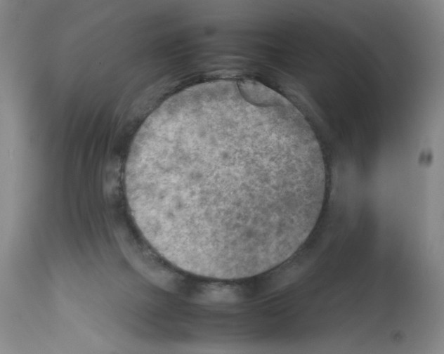 X0000112730073200910011207
