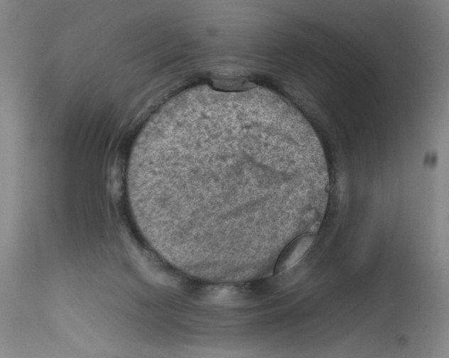 X0000112730074200910011207