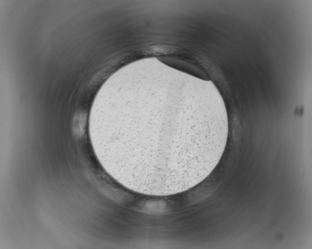 X0000112730075200910011207