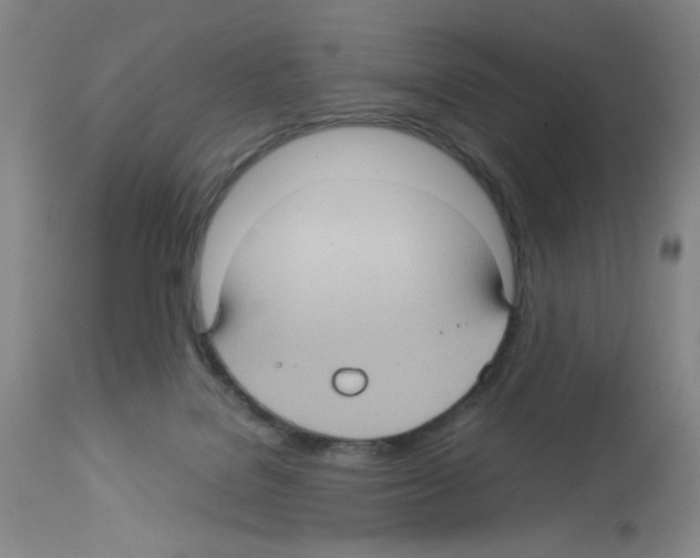 X0000112730076200910011207