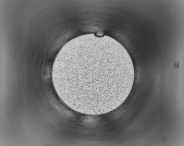 X0000112730077200910011207