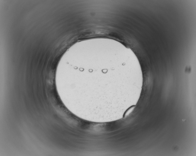 X0000112730078200910011207