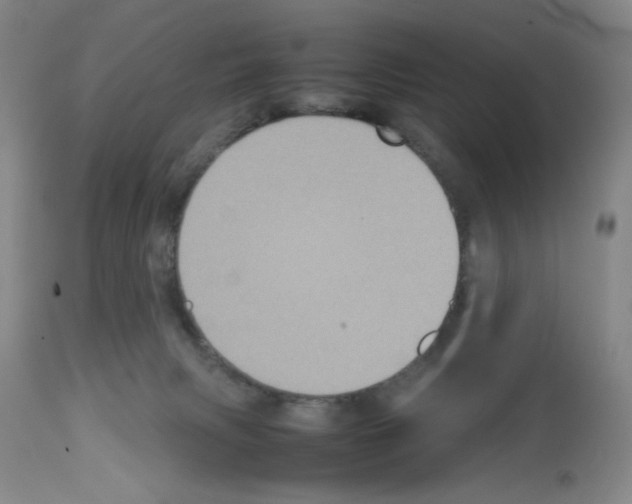 X0000112730079200910011207