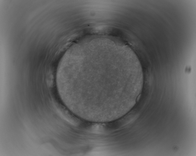 X0000112730080200910011207