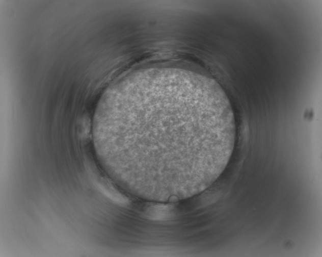 X0000112730081200910011207