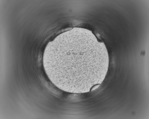 X0000112730082200910011207