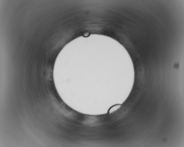 X0000112730083200910011207
