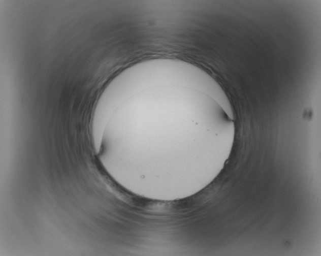 X0000112730084200910011207