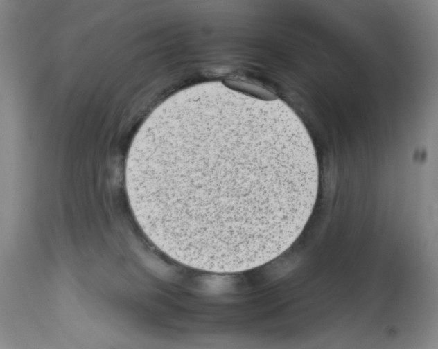X0000112730085200910011207