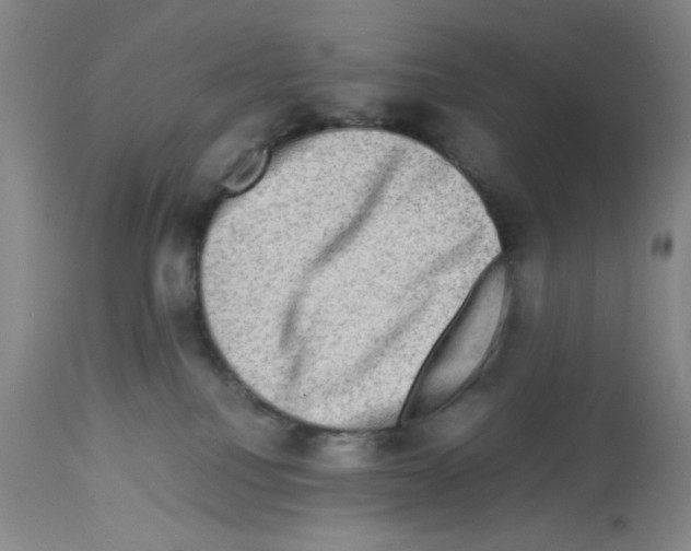 X0000112730088200910011207