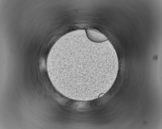 X0000112730089200910011207