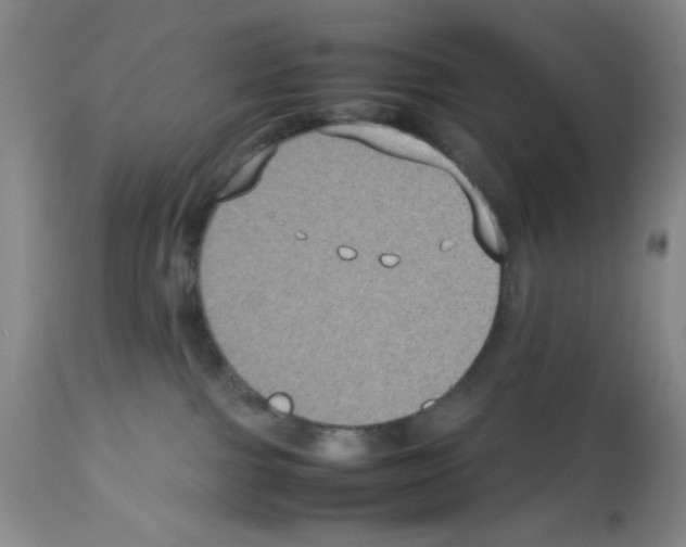 X0000112730091200910011207