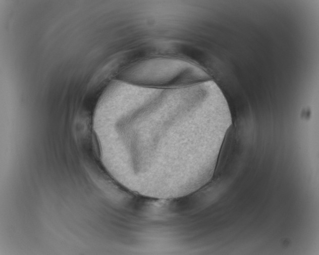 X0000112730092200910011207