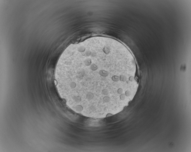 X0000112730093200910011207