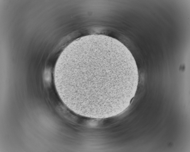 X0000112730094200910011207