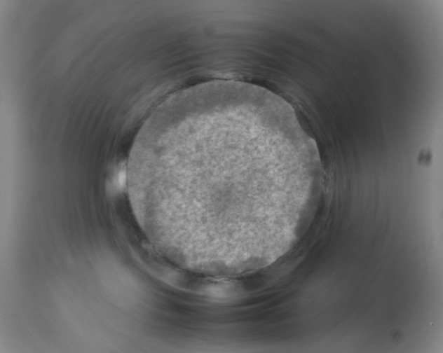 X0000112730095200910011207