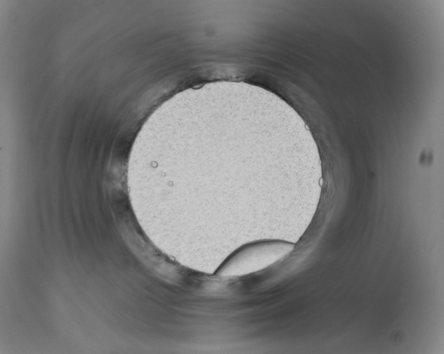 X0000112730096200910011207