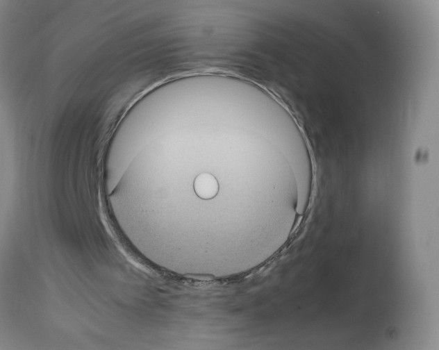 X0000112730097200910011206