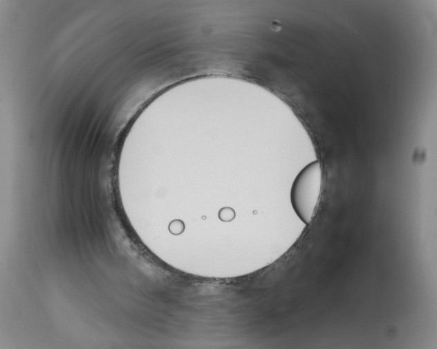 X0000112730098200910011206