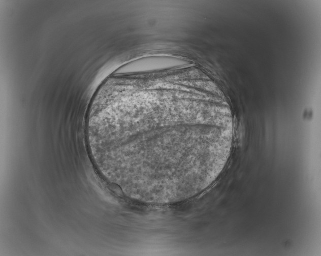 X0000112730099200910011206