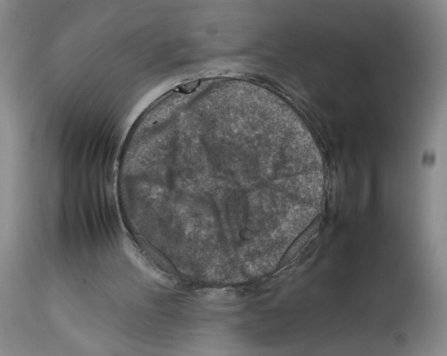 X0000112730100200910011206