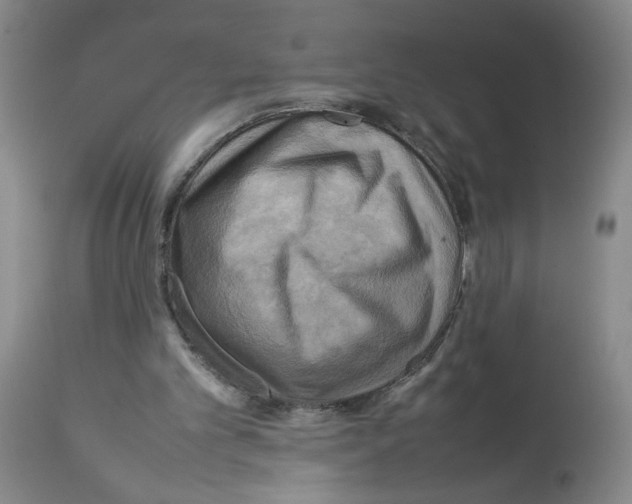 X0000112730101200910011206