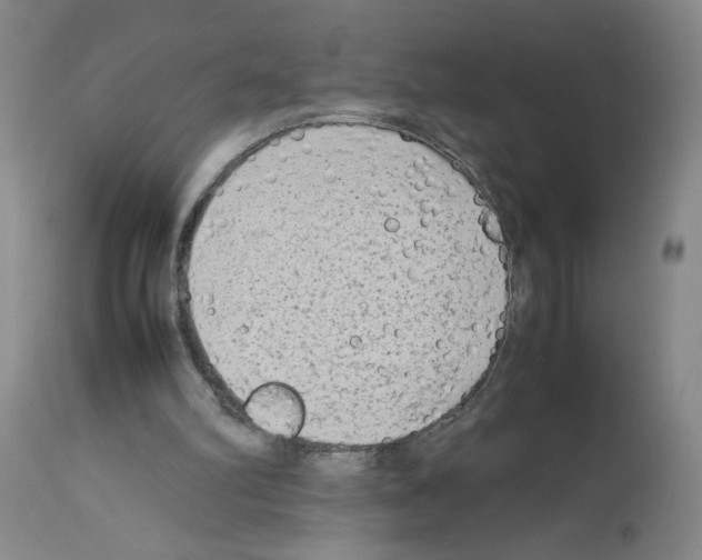X0000112730102200910011206