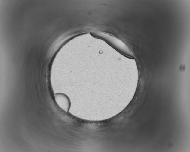 X0000112730103200910011206