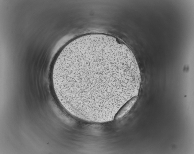 X0000112730104200910011206