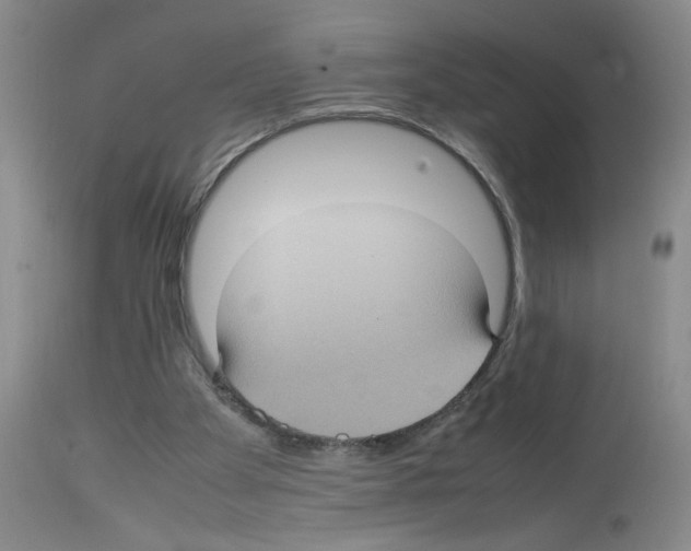X0000112730105200910011206