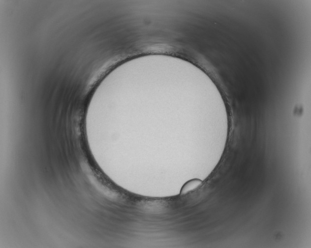X0000112730106200910011206