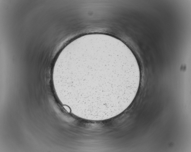 X0000112730107200910011206