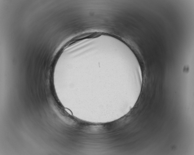 X0000112730108200910011206