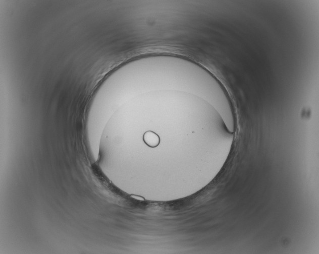 X0000112730109200910011206