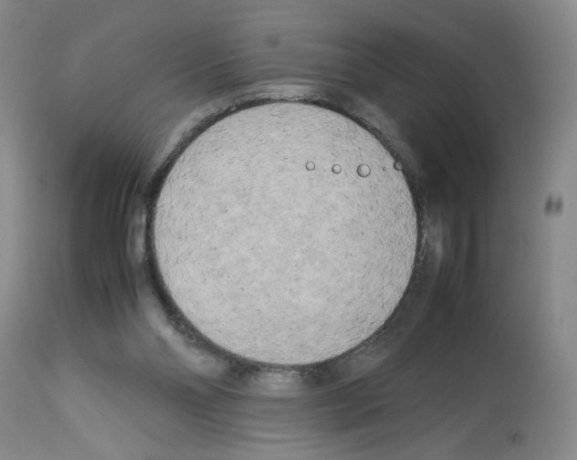 X0000112730110200910011206