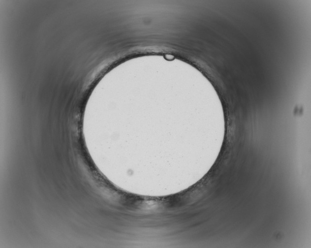 X0000112730111200910011206