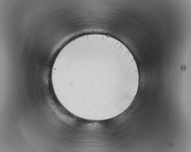 X0000112730112200910011206
