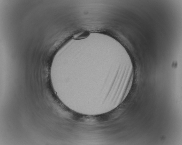 X0000112730113200910011206