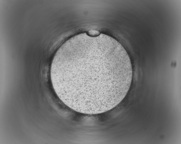 X0000112730115200910011206