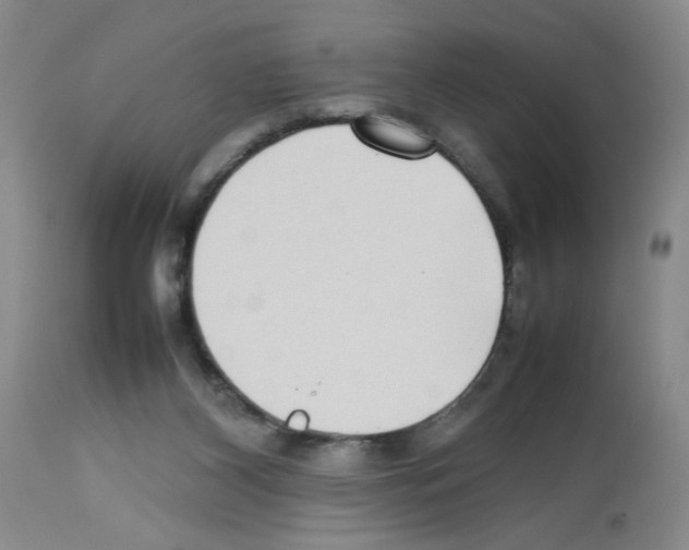 X0000112730116200910011206