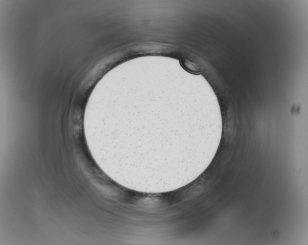 X0000112730119200910011206
