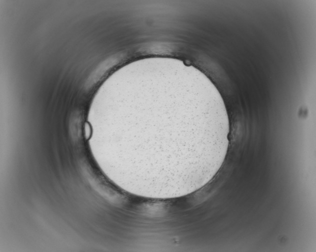 X0000112730120200910011206
