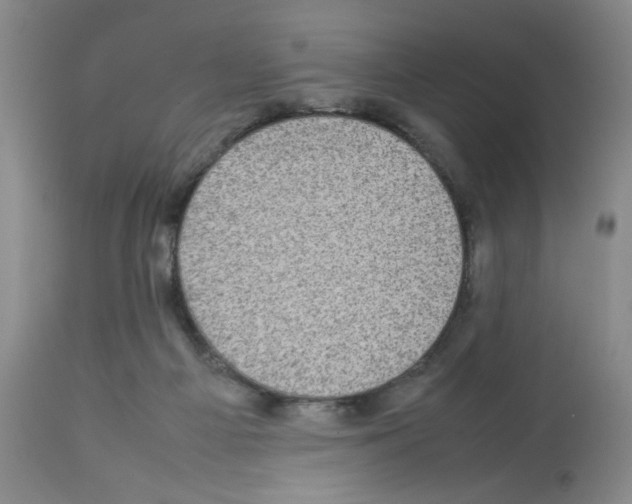 X0000112730121200910011206